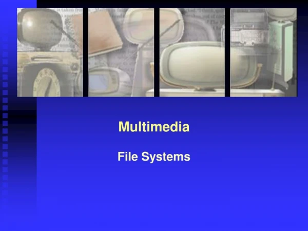 Multimedia File Systems