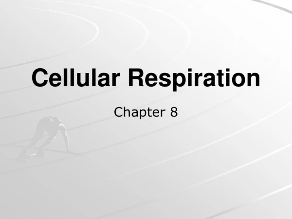 Cellular Respiration