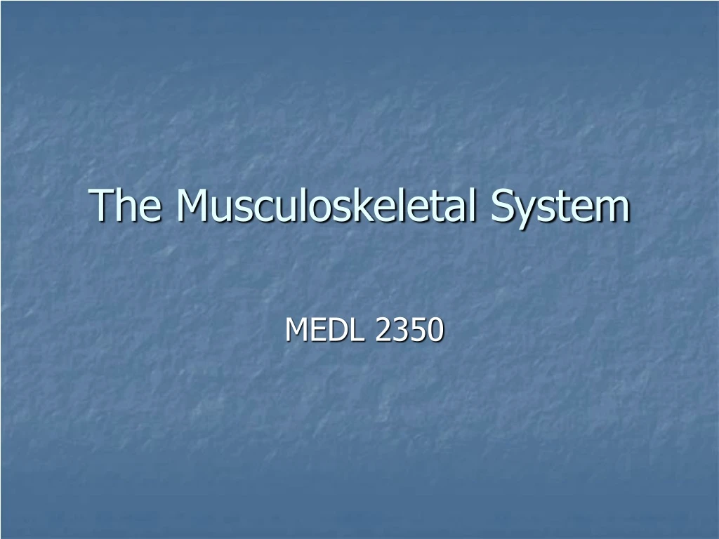 the musculoskeletal system