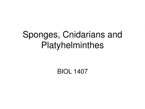 Sponges, Cnidarians and Platyhelminthes
