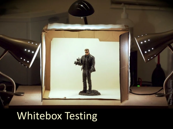 Whitebox Testing