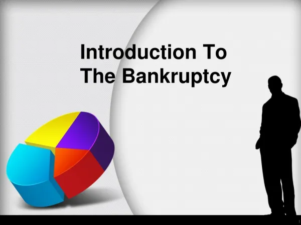 Introduction to the bankruptcy