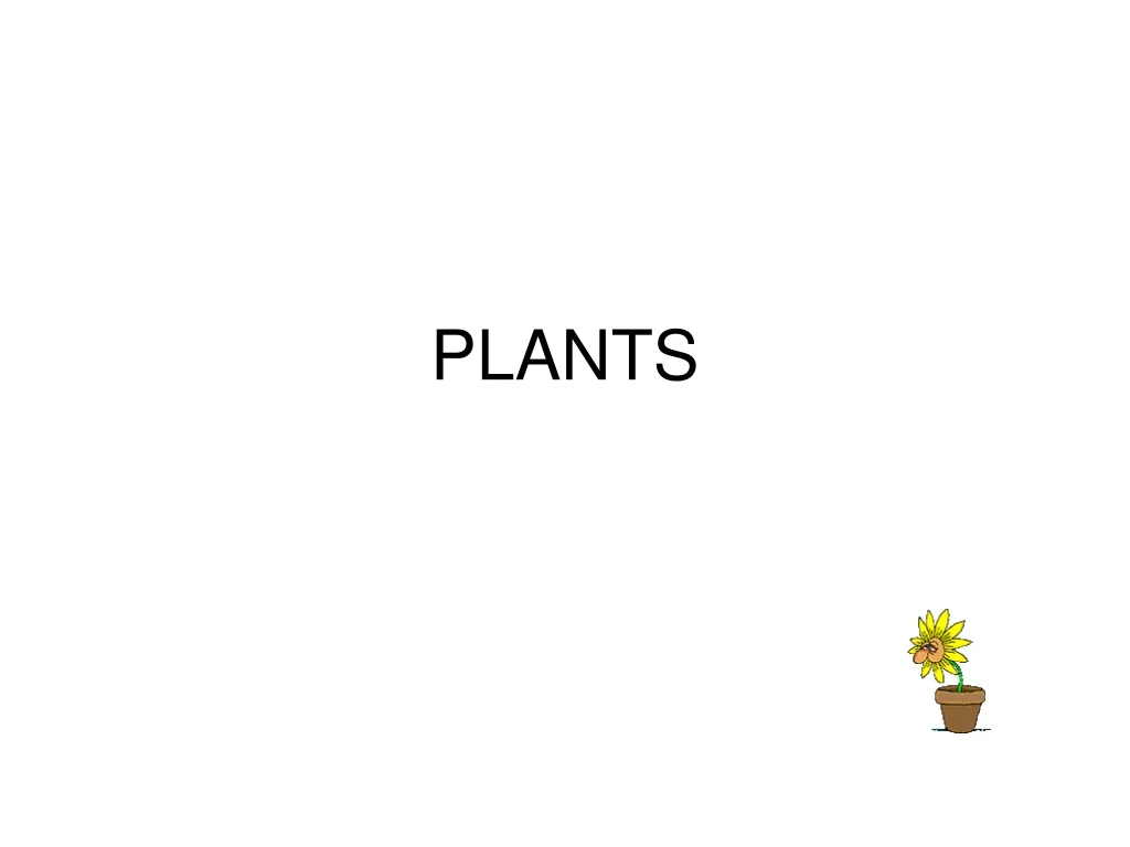 plants