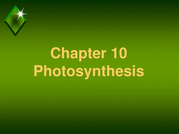 Chapter 10 Photosynthesis