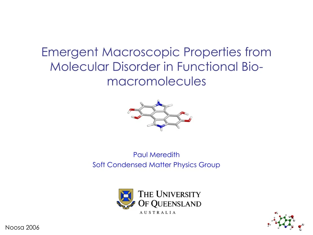 emergent macroscopic properties from molecular disorder in functional bio macromolecules