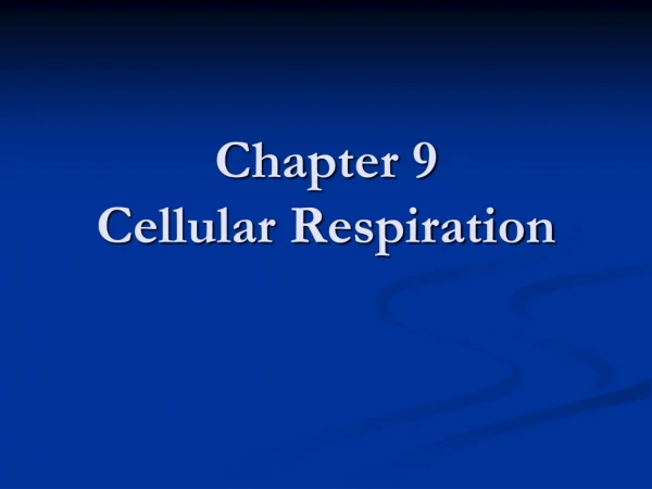 Chapter 9  Cellular Respiration