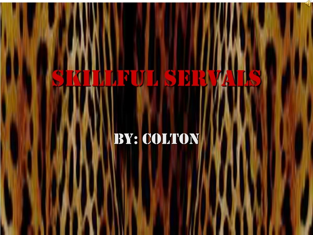 skillful servals