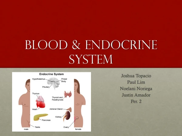 Blood &amp; Endocrine System