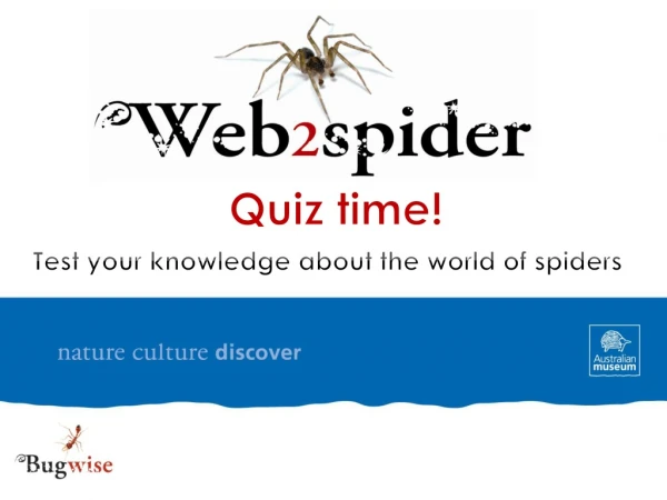 Quiz time! Test your knowledge about the world of spiders