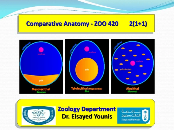 Comparative Anatomy - ZOO 420       2(1+1)