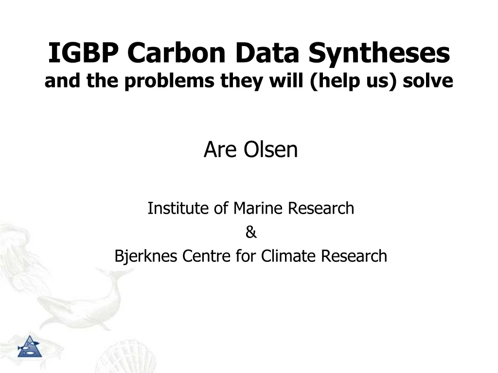igbp carbon data syntheses and the problems they will help us solve