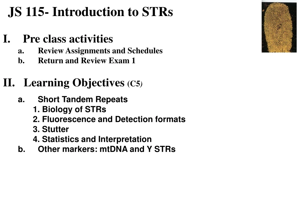js 115 introduction to strs