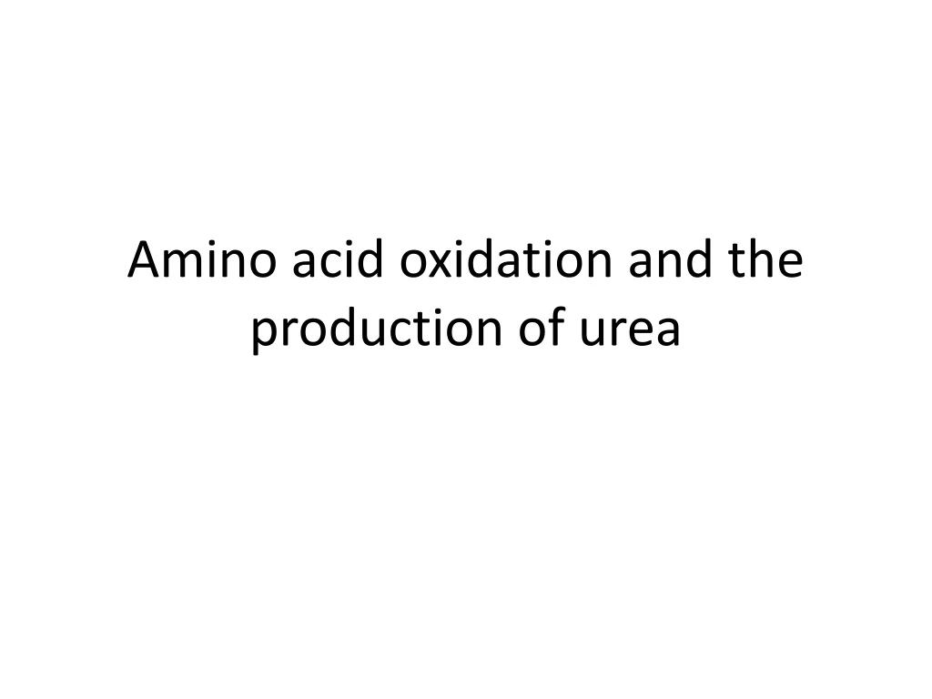 amino acid oxidation and the production of urea