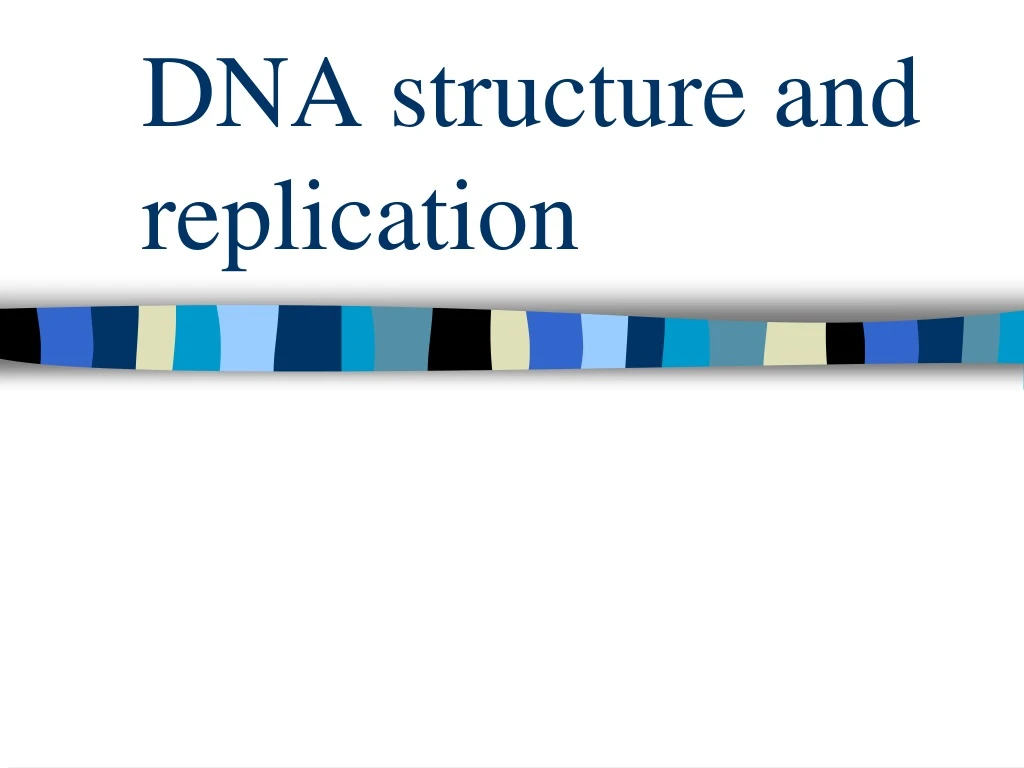 dna structure and replication