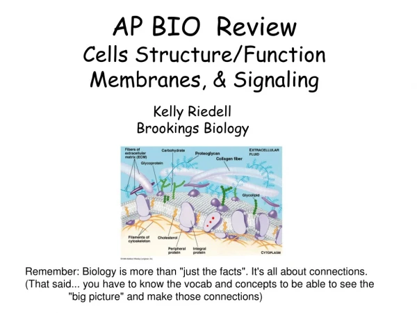AP BIO  Review Cells Structure/Function Membranes, &amp; Signaling