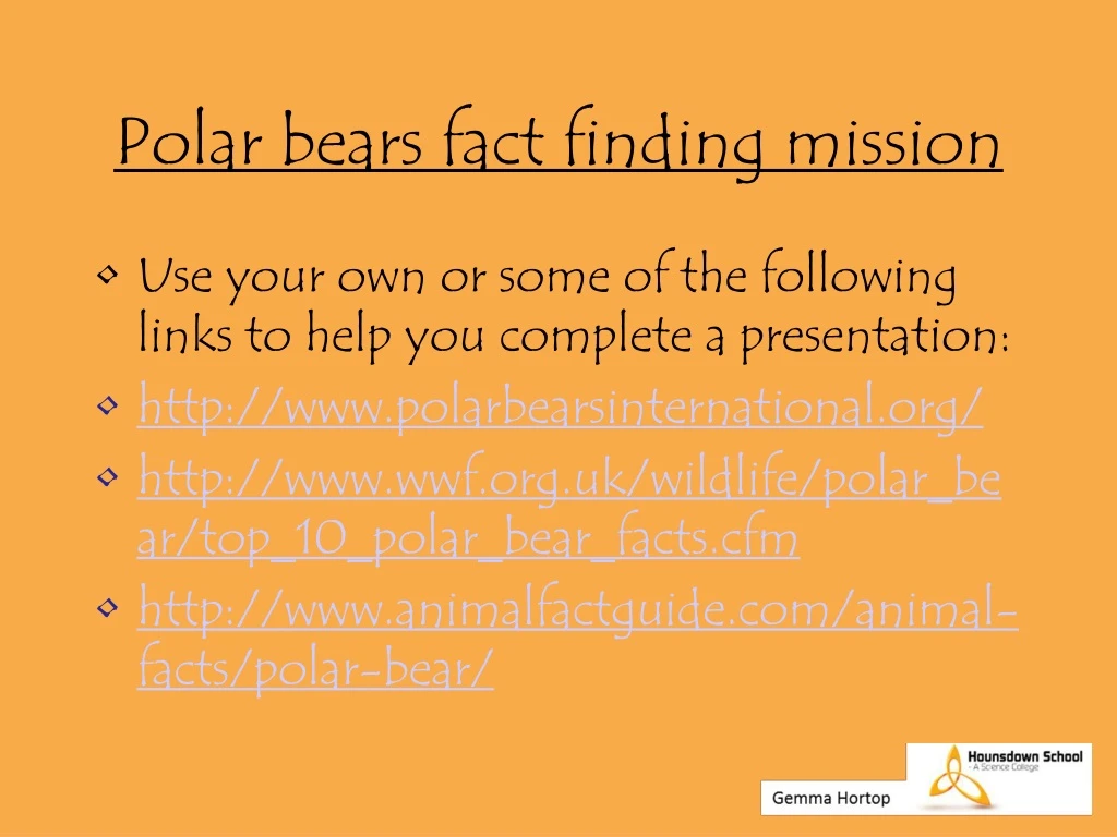 polar bears fact finding mission
