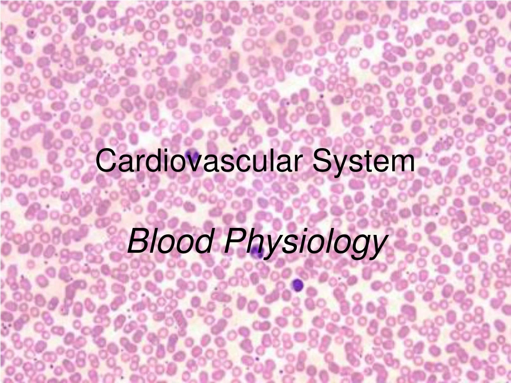 cardiovascular system