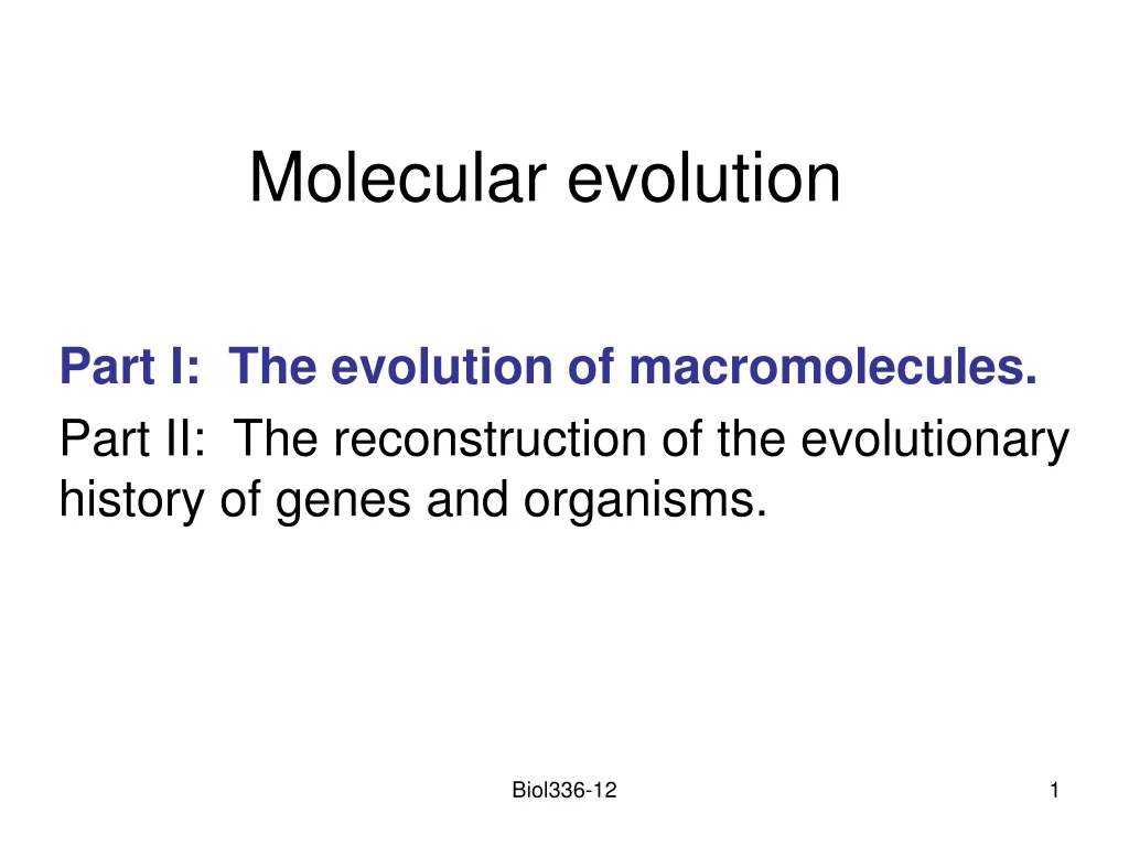 molecular evolution