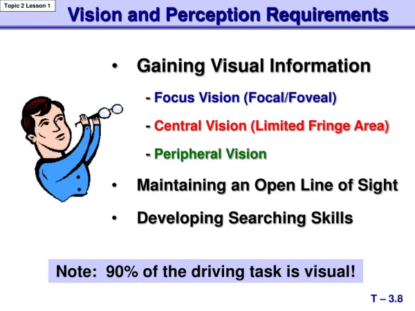 Gaining Visual Information -  Focus Vision (Focal/Foveal) -  Central Vision (Limited Fringe Area)