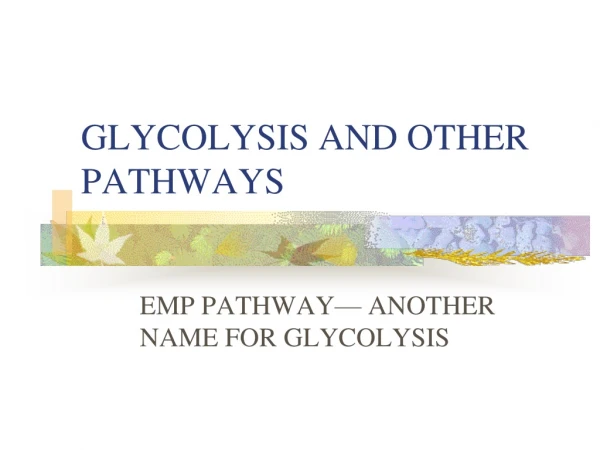 GLYCOLYSIS AND OTHER PATHWAYS