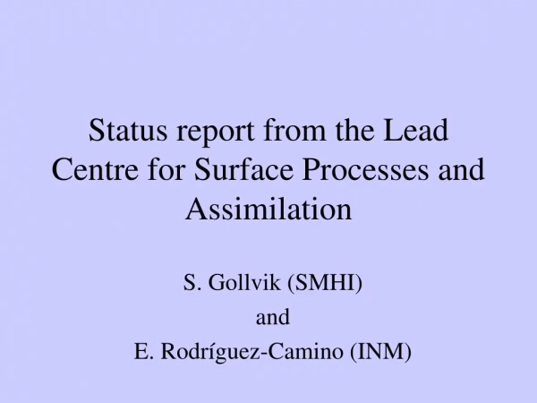 Status report from the Lead Centre for Surface Processes and Assimilation