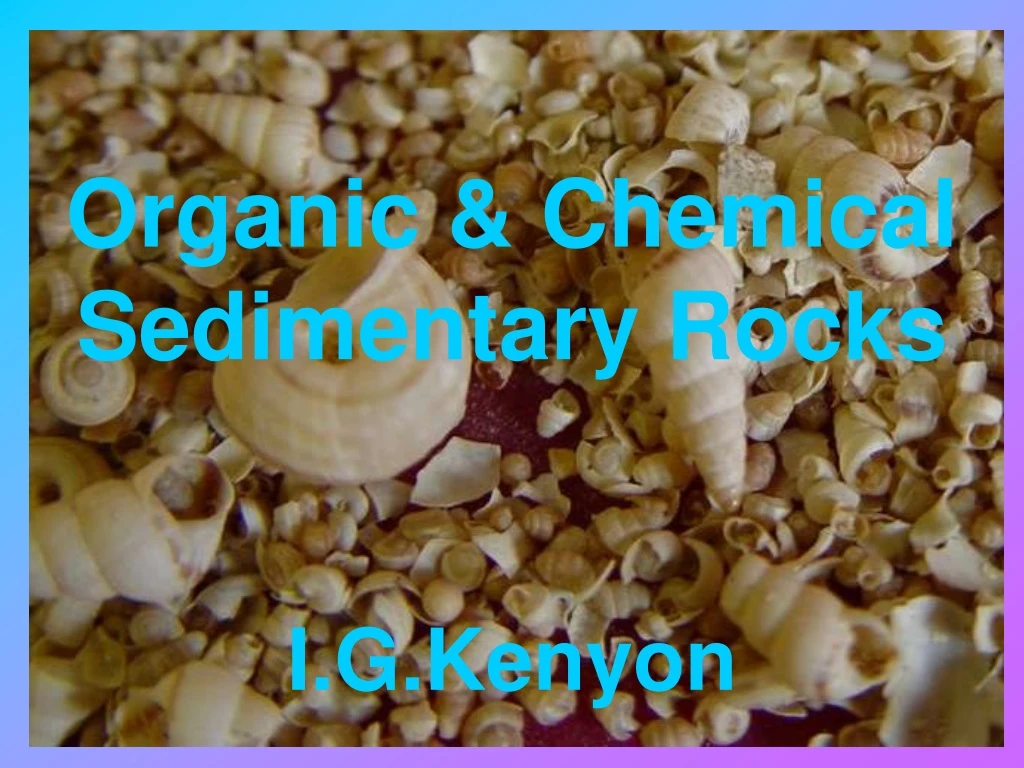 organic chemical sedimentary rocks