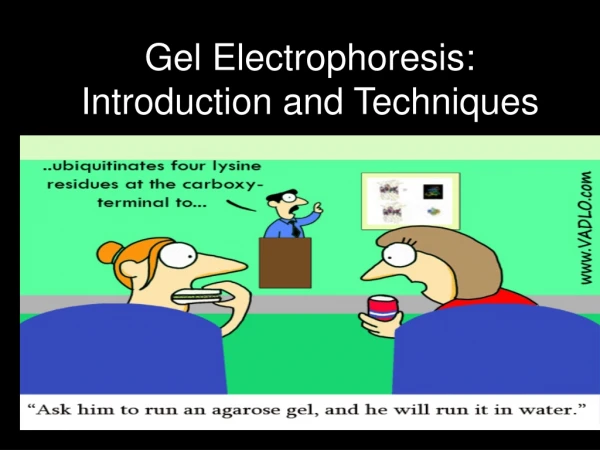 Gel Electrophoresis: Introduction and Techniques