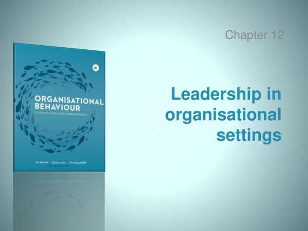 Leadership in organisational settings