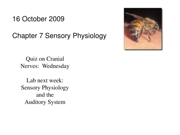 16 October 2009 Chapter 7 Sensory Physiology