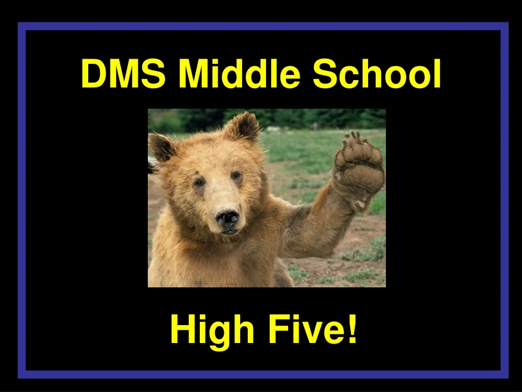 dms middle school