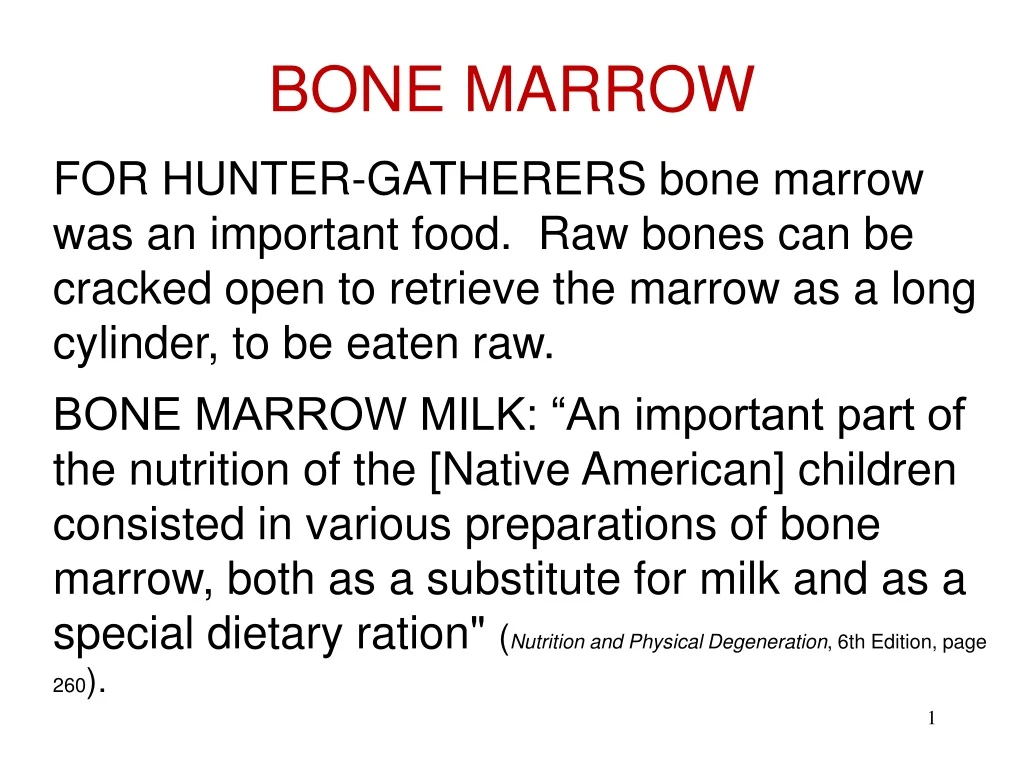 bone marrow