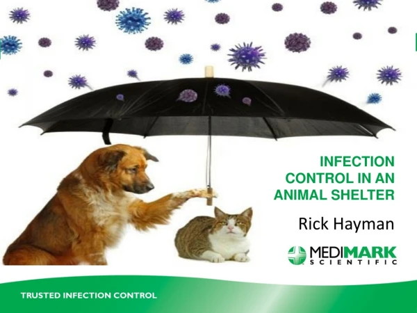 INFECTION CONTROL IN AN ANIMAL SHELTER