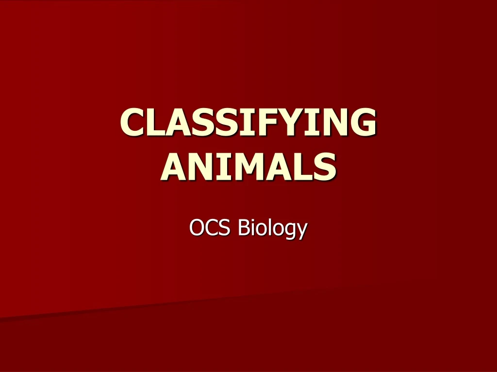 classifying animals