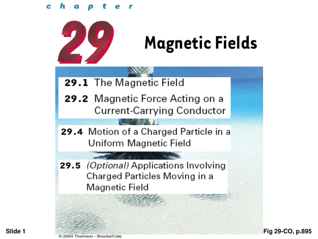 fig 29 co p 895