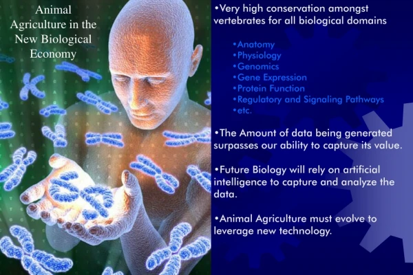 Very high conservation amongst vertebrates for all biological domains Anatomy Physiology Genomics