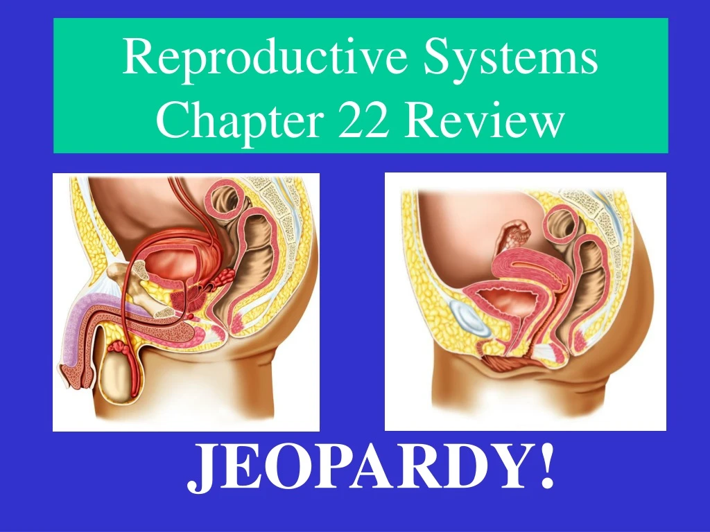 reproductive systems chapter 22 review