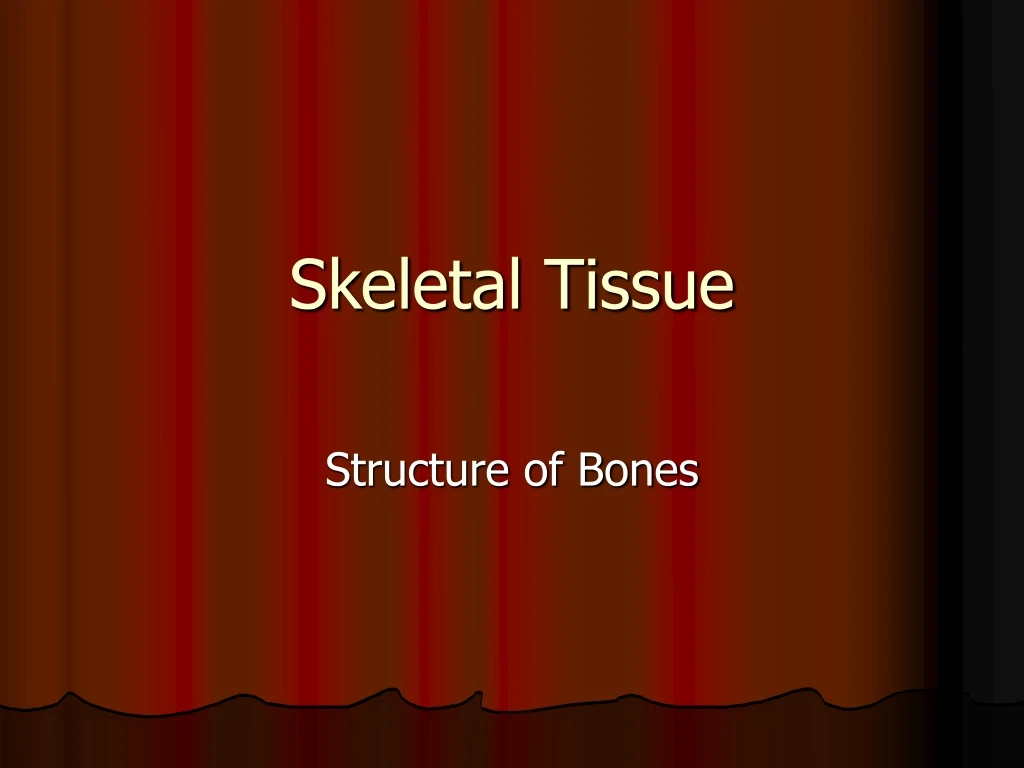 skeletal tissue