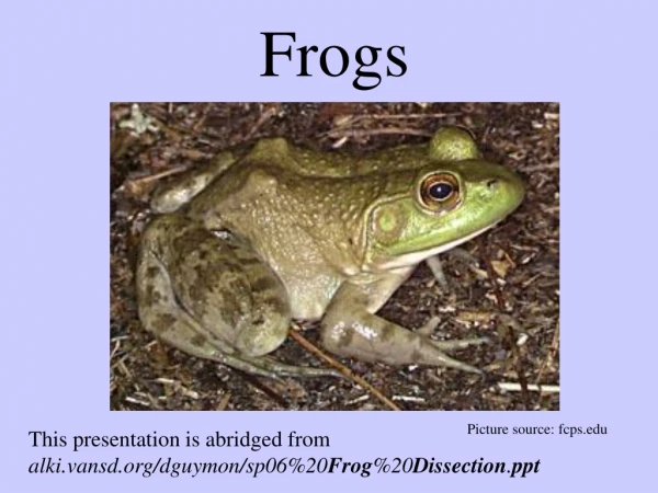 Frogs