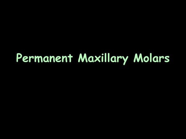 Permanent Maxillary Molars
