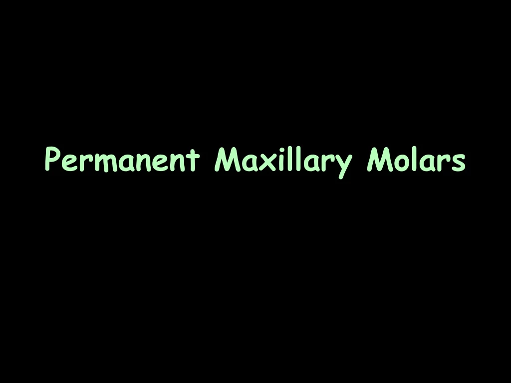 permanent maxillary molars