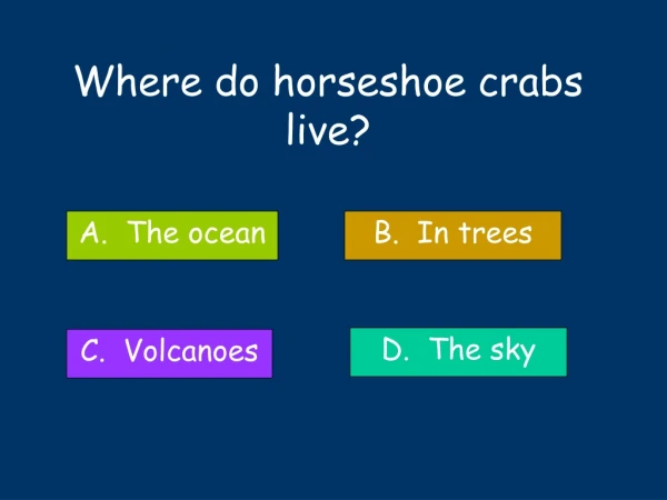 Where do horseshoe crabs live?