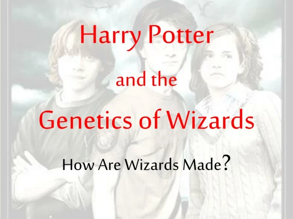 Harry Potter  and the Genetics of Wizards