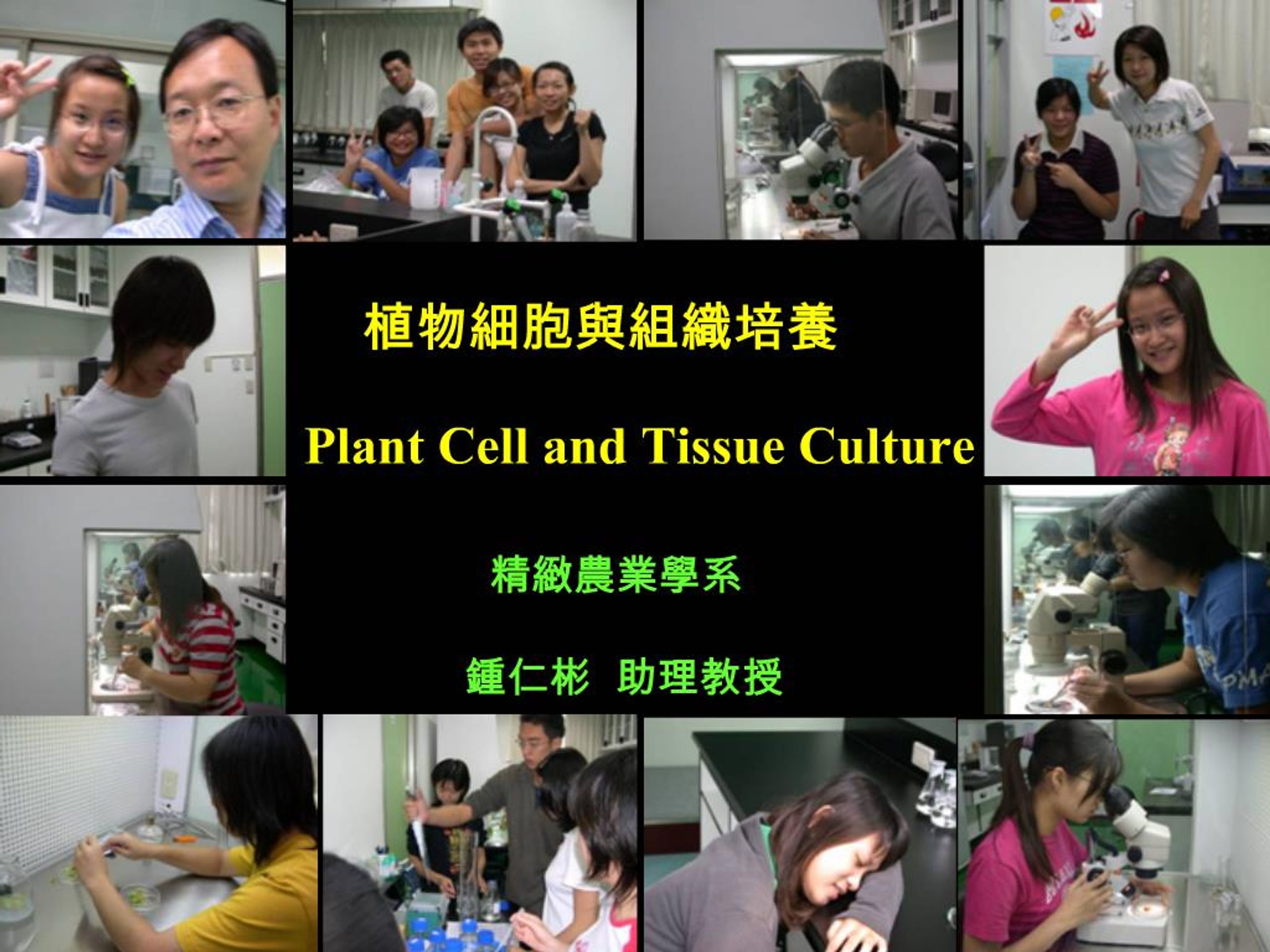 PPT - Plant Cell and Tissue Culture PowerPoint Presentation, free ...