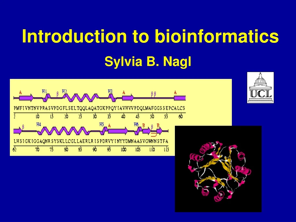 introduction to bioinformatics