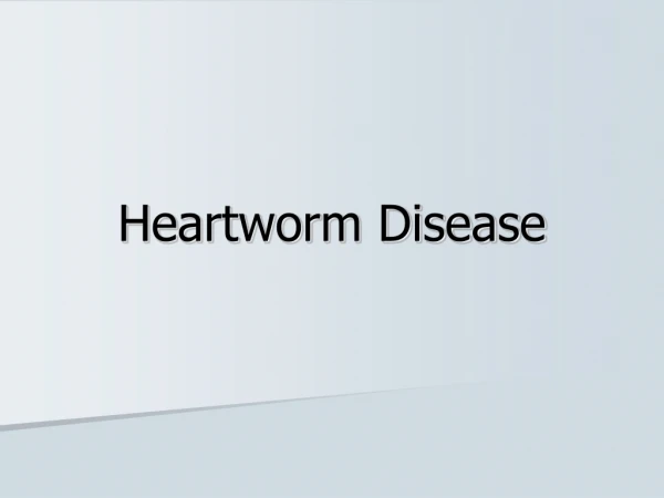 Heartworm Disease