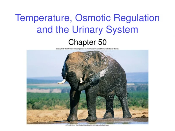 Temperature, Osmotic Regulation and the Urinary System
