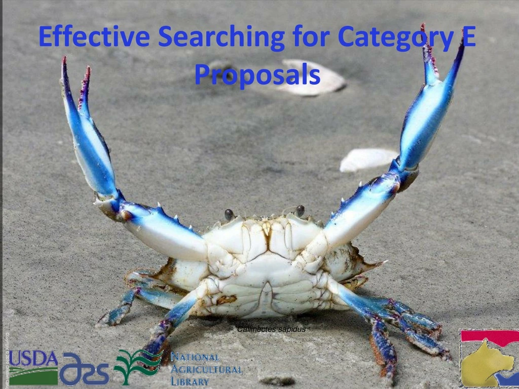 effective searching for category e proposals