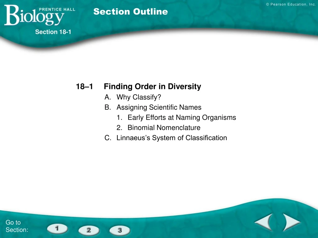 section outline