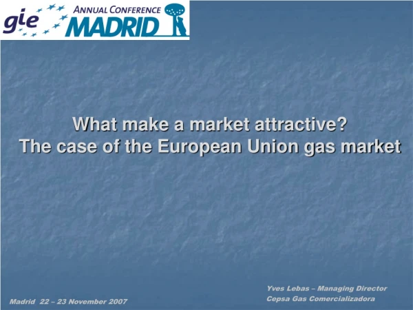 What make a market attractive? The case of the European Union gas market