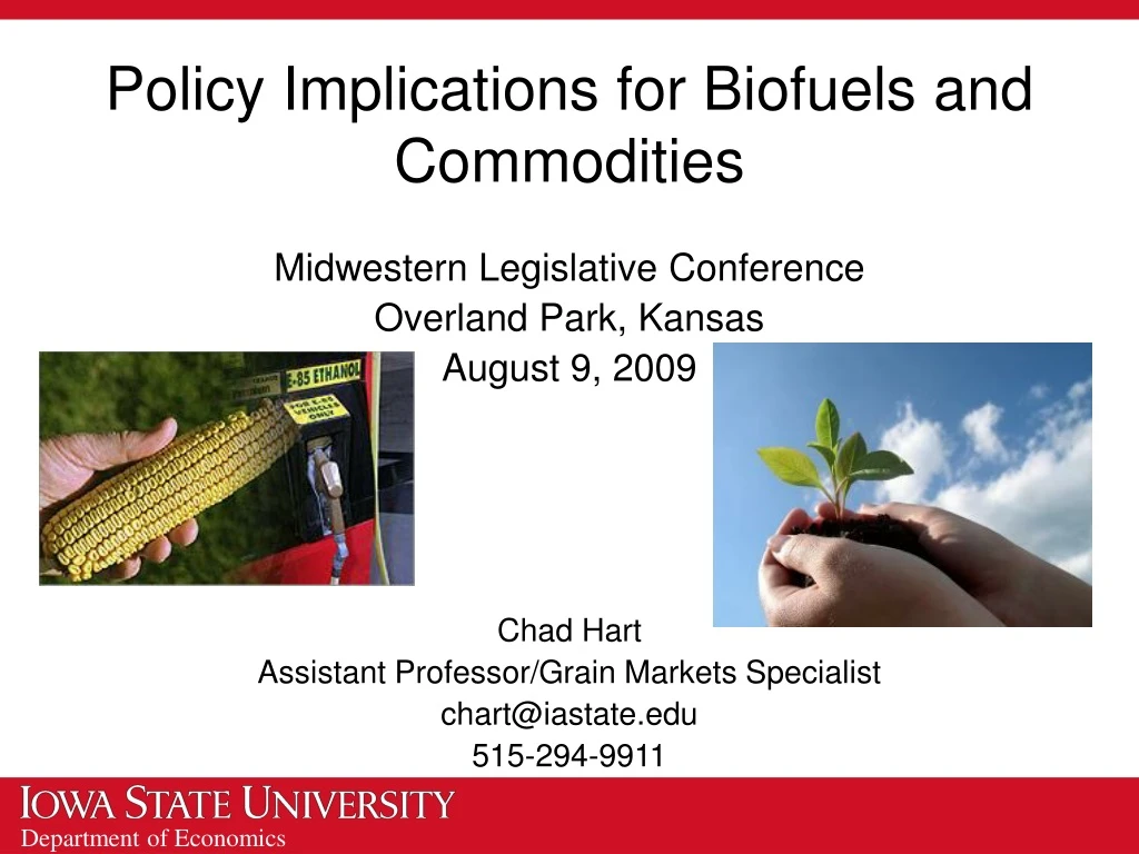 policy implications for biofuels and commodities